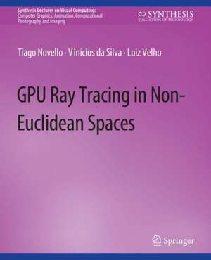 GPU Ray Tracing in Non-Euclidean Spaces de Tiago Novello