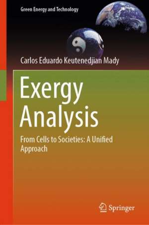 Exergy Analysis de Carlos Eduardo Keutenedjian Mady
