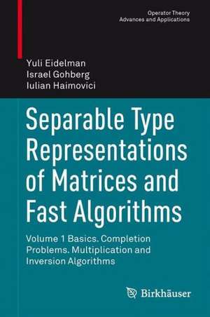 Separable Type Representations of Matrices and Fast Algorithms: Volume 1 Basics. Completion Problems. Multiplication and Inversion Algorithms de Yuli Eidelman