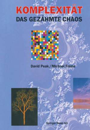 Komplexität — das gezähmte Chaos de David Peak