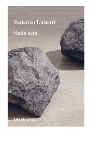 Stein sein de Federico Luisetti