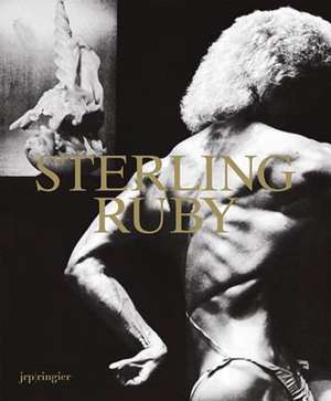 Sterling Ruby de Robert Hobbs