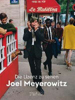 Lizenz zu sehen: Joel Meyerowitz de Joel Meyerowitz