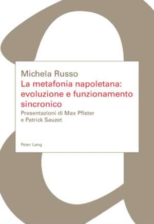 La Metafonia Napoletana: Presentazioni Di Max Pfister E Patrick Sauzet de Michela Russo