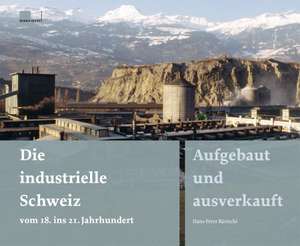 Die industrielle Schweiz vom 18. ins 21. Jahrhundert de Hans-Peter Bärtschi