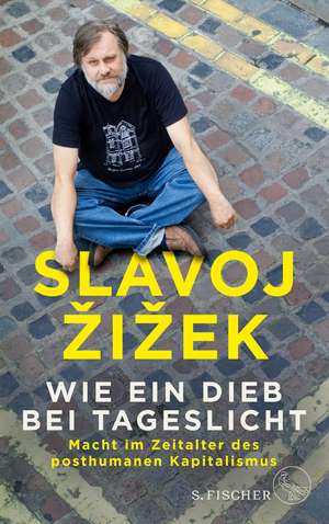 Wie ein Dieb bei Tageslicht de Slavoj Zizek