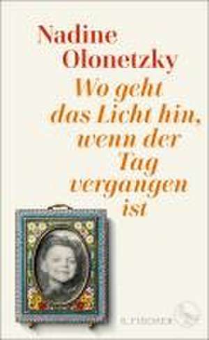 Wo geht das Licht hin, wenn der Tag vergangen ist de Nadine Olonetzky