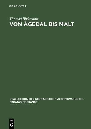 Von Ågedal bis Malt: Die skandinavischen Runeninschriften vom Ende des 5. bis Ende des 9. Jahrhunderts de Thomas Birkmann