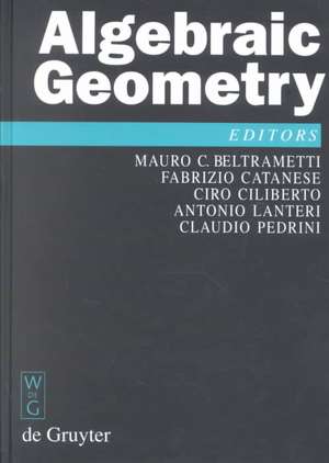 Algebraic Geometry: A Volume in Memory of Paolo Francia de Mauro C. Beltrametti