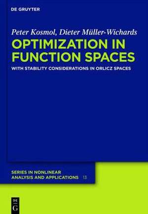 Optimization in Function Spaces: With Stability Considerations in Orlicz Spaces de Peter Kosmol