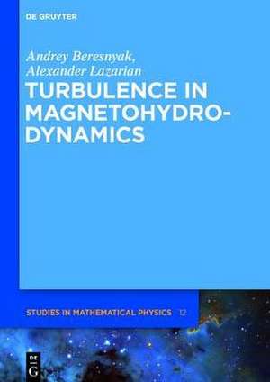 Turbulence in Magnetohydrodynamics de Andrey Beresnyak