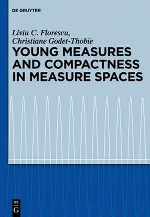 Young Measures and Compactness in Measure Spaces de Liviu C. Florescu