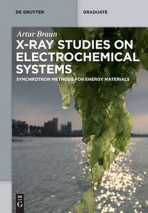 X-Ray Studies on Electrochemical Systems de Artur Braun