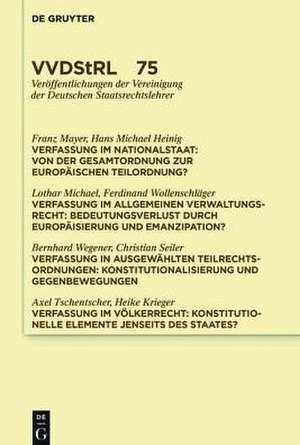 Verfassung als Ordnungskonzept: Referate und Diskussionen auf der Tagung der Vereinigung der Deutschen Staatsrechtslehrer in Speyer vom 7. bis zum 10. Oktober 2015 de Franz Mayer