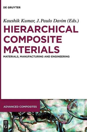 Hierarchical Composite Materials de J. Paulo Davim