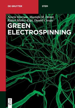 Green Electrospinning de Nesrin Horzum