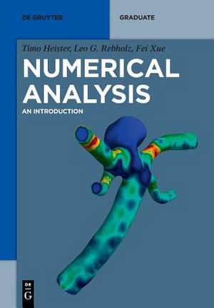 Numerical Analysis de Timo Heister