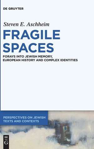 Fragile Spaces de Steven E. Aschheim