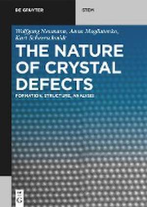 The Nature of Crystal Defects de Wolfgang Neumann