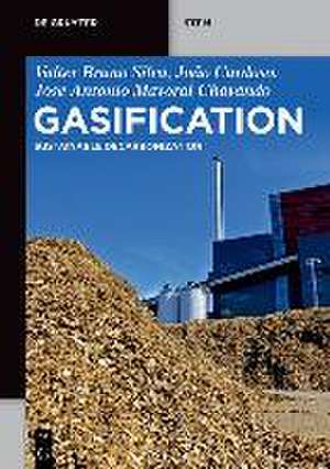 Silva, V: Gasification de Antonio Chavando