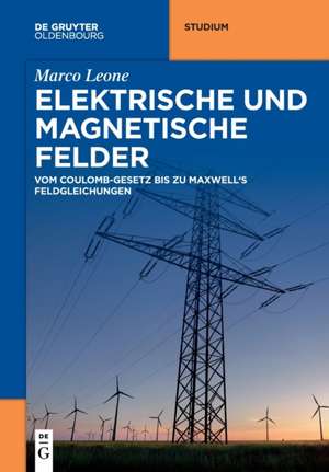 Leone, M: Elektrische und magnetische Felder