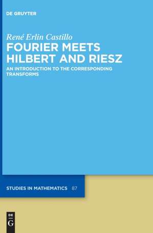 Fourier Meets Hilbert and Riesz de René Erlin Castillo