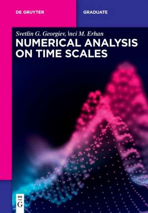 Numerical Analysis on Time Scales de Svetlin G. Georgiev