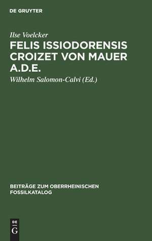 Felis issiodorensis Croizet von Mauer a.d.E. de Ilse Voelcker