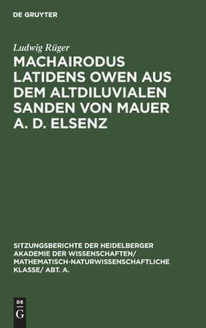 Machairodus latidens Owen aus dem altdiluvialen Sanden von Mauer a. d. Elsenz de Ludwig Rüger