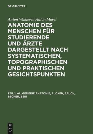 Allgemeine Anatomie, Rücken, Bauch, Becken, Bein de Anton Waldeyer