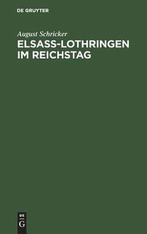 Elsass-Lothringen im Reichstag: vom Beginn der ersten Legislatur-Periode bis zur Einführung der Reichsverfassung ; sämmtliche auf Elsass-Lothringen bezügliche Interpellationen, Gesetzentwürfe, Verwaltungsberichte und Debatten ... nach den stenographischen Protokollen und den... de August Schricker