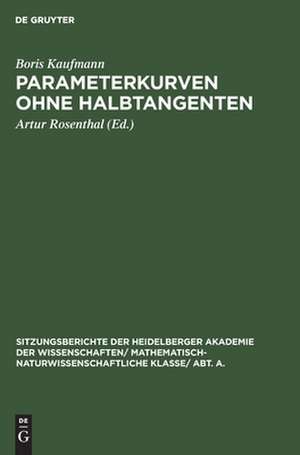 Parameterkurven ohne Halbtangenten de Boris Kaufmann