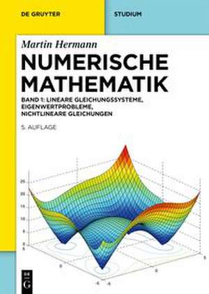 Numerische Mathematik de Martin Hermann