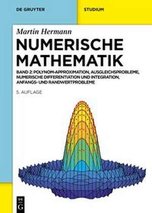 Numerische Mathematik de Martin Hermann