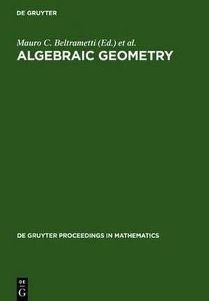 Algebraic Geometry: A Volume in Memory of Paolo Francia de Mauro C. Beltrametti