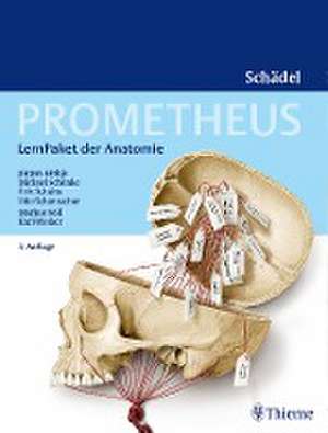 PROMETHEUS LernPaket Anatomie Schädel de Jürgen Lüthje