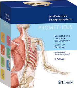 PROMETHEUS LernKarten des Bewegungssystems de Michael Schünke