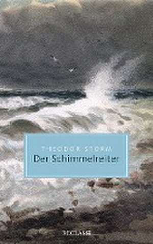 Der Schimmelreiter de Theodor Storm