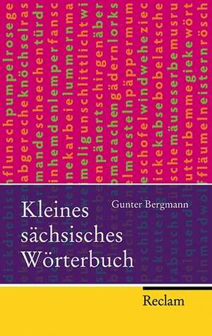 Bergmann, G: Kleines sächsisches Wörterbuch