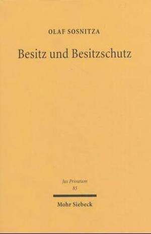 Besitz Und Besitzschutz: Sachherrschaft Zwischen Faktischem Verhaltnis, Schuldrechtlicher Befugnis Und Dinglichem Recht de Olaf Sosnitza