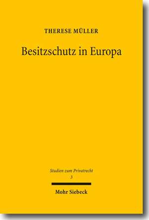 Besitzschutz in Europa de Therese Müller