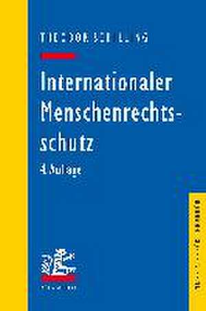 Internationaler Menschenrechtsschutz de Theodor Schilling