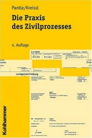 Die Praxis Des Zivilprozesses: Methodengestutzte Entwicklung Zielgruppenspezifischer Produktinnovationen de Norbert Pantle