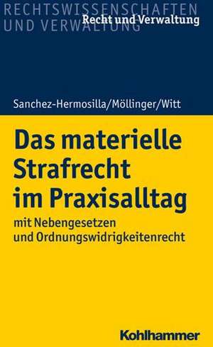 Das materielle Strafrecht im Praxisalltag de Fernando Sanchez-Hermosilla