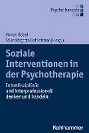 Soziale Interventionen in der Psychotherapie de Maren Bösel