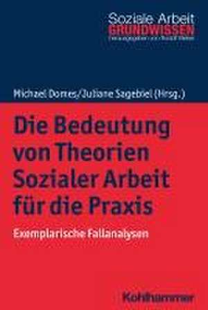 Die Bedeutung von Theorien Sozialer Arbeit für die Praxis de Michael Domes