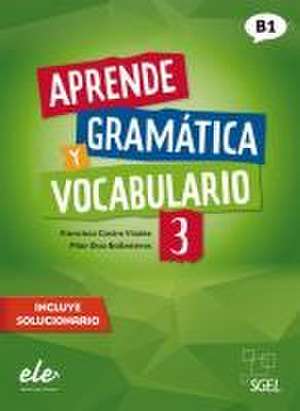 Aprende gramática y vocabulario 3 - Nueva edición de Francisca Castro Viúdez