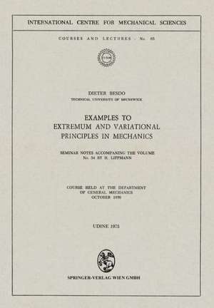 Examples to Extremum and Variational Principles in Mechanics: Seminar Notes Accompaning the Volume No. 54 by H. Lippmann de D. Besdo