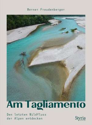 Am Tagliamento de Werner Freudenberger