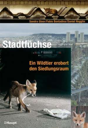 Stadtfüchse de Sandra Gloor